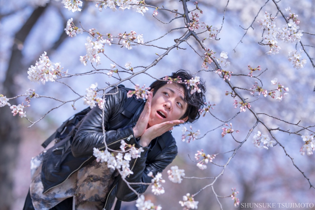 春ですねー！長居公園で桜を見に行きました！