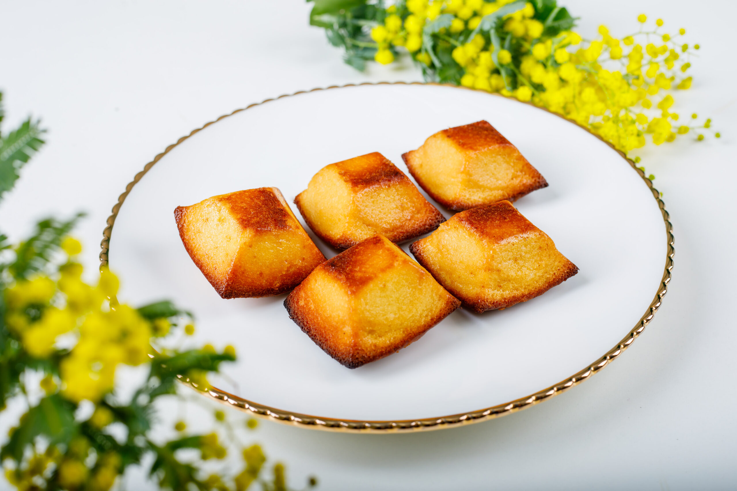 料理撮影